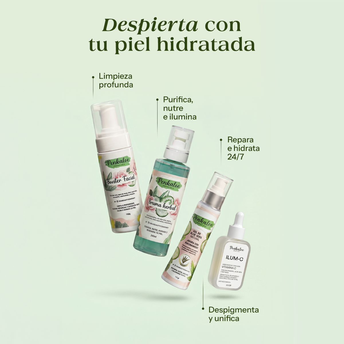 Kit Reset - Gratis Organizador Luxury