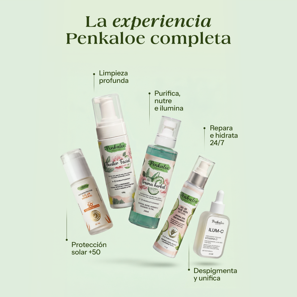 Kit Completo - Gratis Organizador Luxury